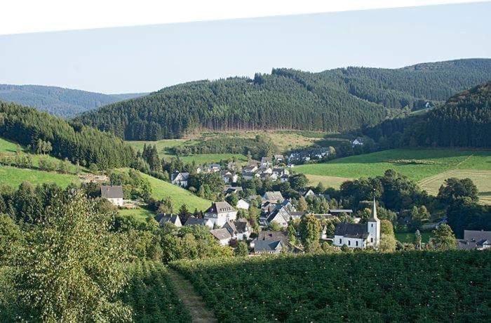 Pension Alois Hennecke Schmallenberg Exterior photo